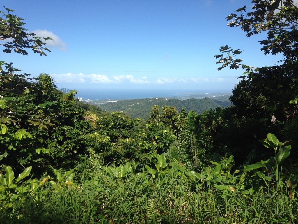 The view from the El Yunque National Rain Forest.